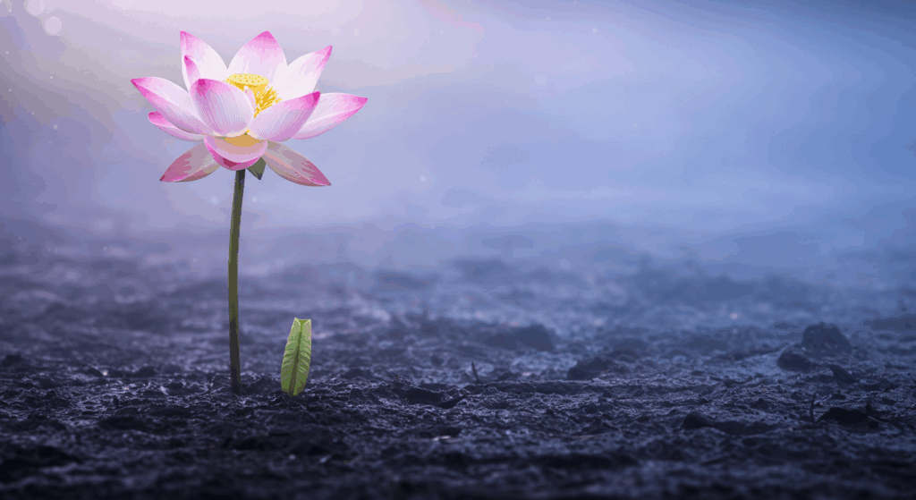 お祓い 大祓 祝詞